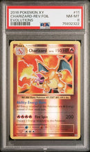 Charizard - Rev. Holo 11/108 Evolutions PSA 8 75932322