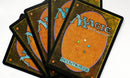 Magic the Gathering Instant Collection Bundle