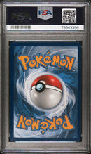 Special Delivery Bidoof SWSH177 Black Star Promo PSA 10 75643396