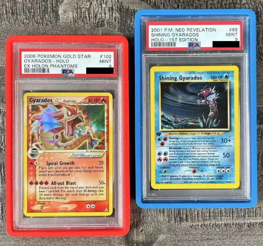 PSA Graded Slab Bumper