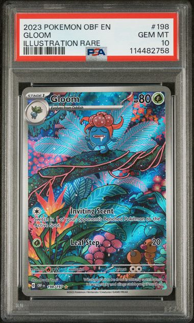 Gloom 198/197 Scarlet & Violet: Obsidian Flames PSA 10 114482758