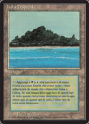 Tropical Island Italian [Foreign Black Border]