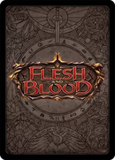 Flesh and Blood Armory Lot