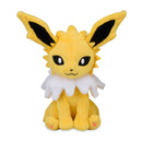 Pokemon Plushie